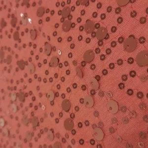 VL(FSQ)-MSR-CORAL