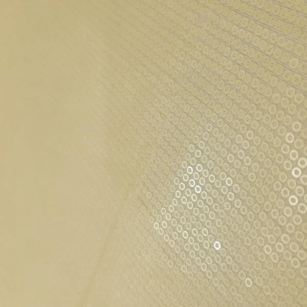 132188.1-1.webp FULL SEQUINS MESH CREAM.GOLD D3