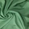 BIJU2-MNT-1.webp BIJU LYCRA(2) MINT