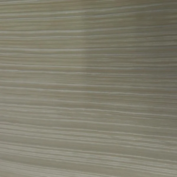 POLY PLEATED BODRE CREAM