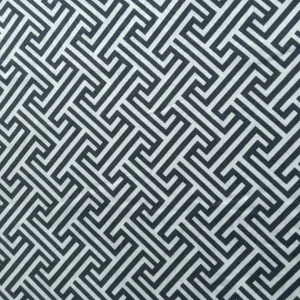 BROCADE ETHAN ABSTRACT