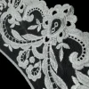COLLAR GUIPURE LACE  1M LENGHT