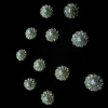 BUTTON BRIDAL RANGE (78)