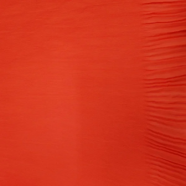 CHIFFON PLEATED  ORANGE