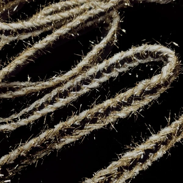 BRAID LACE WHITE/GOLD(DT065)