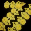 FT2-D6-YELL-1.webp FANCY TRIM 3D DAISY DIAMANTE