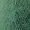 FURS-SGE-2.webp FUR SHORT HAIR SAGE