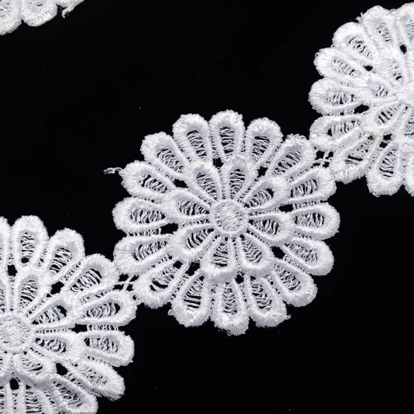 GD2-WHT-2.webp BIG DAISY WHT