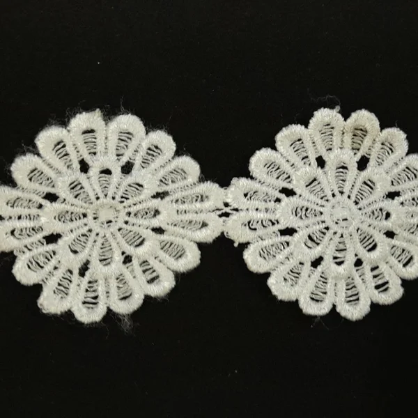 GD2-WHT.webp BIG DAISY WHT