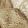LACE  METALIC FLORAL GOLD