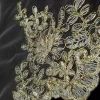 MESH IVORY WITH GOLD CORDING