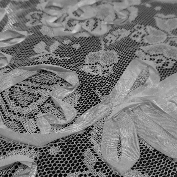 LACE MESH WITH RIBBON EMBORIDERED WHT
