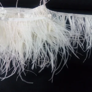 OSTRITCH FEATHERS-CREAM