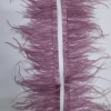 OFEATH-DSTY-1-1.webp OSTRITCH FEATHERS-DUSTY