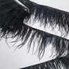 OSTRITCH FEATHERS LONG BLACK