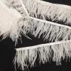 OFEATHL-CRM-2.webp OSTRITCH FEATHERS LONG CREAM