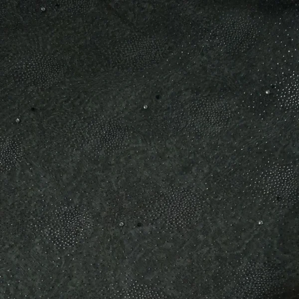 ORGANZA WITH EMELLISHED CAVIER BLACK