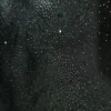 ORGANZA WITH EMELLISHED CAVIER BLACK