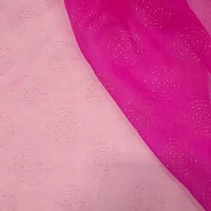 ORGANZA WITH EMELLISHED CAVIER CERISE