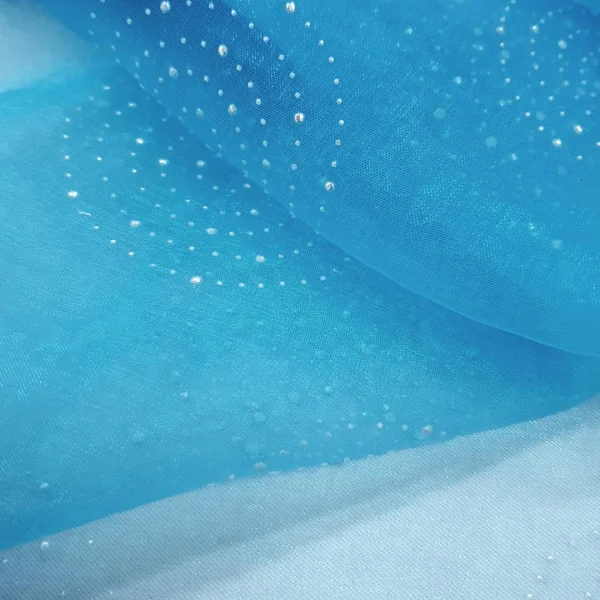 ORGANZA WITH EMELLISHED CAVIER TURQ