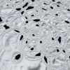 SATIN BORDER CORD WITH BEAD WHITE
