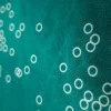 SATSTP-SCIRC.J-2.webp PRINTED STRETCH SATIN BUBBLES JADE