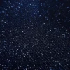 SCUBA BONDED(2745-2)LUREX NAVY
