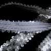 BRAID ELAST SEQ LRG SILVER