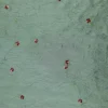 TAFETTA CRUSHED WITH EMBROIDERY DETAIL